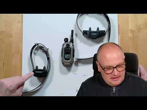 Zusatzhalsbandempf. Dogtra1200X