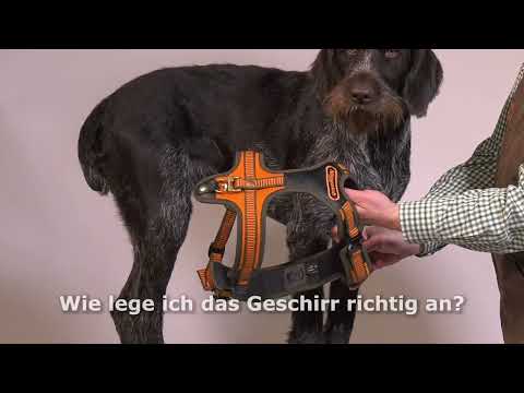 Niggeloh Follow START XXS/XS schwarz-rot