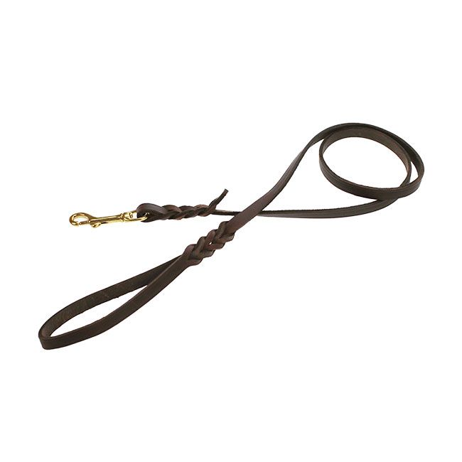Beeztees Lederleine Active – 100 Cm Lang, 1,7 Cm Breit, Braun, Für Große & Starke Hunde